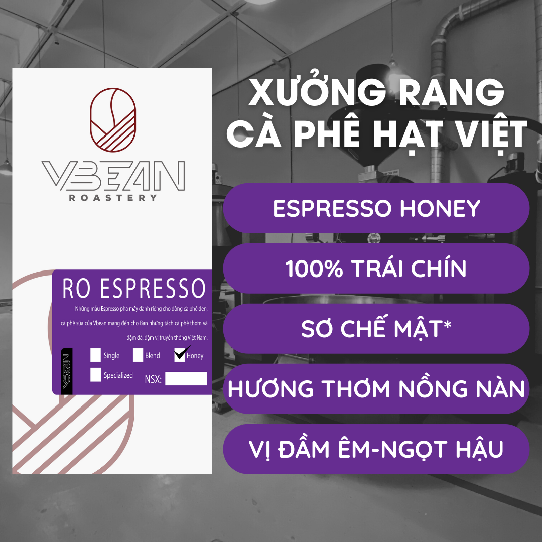Cà Phê Robusta Arabica Pha Máy Nguyên Chất Rang Mộc Cao Cấp - Combo 1kg Espresso Honey - VBEAN Roastery