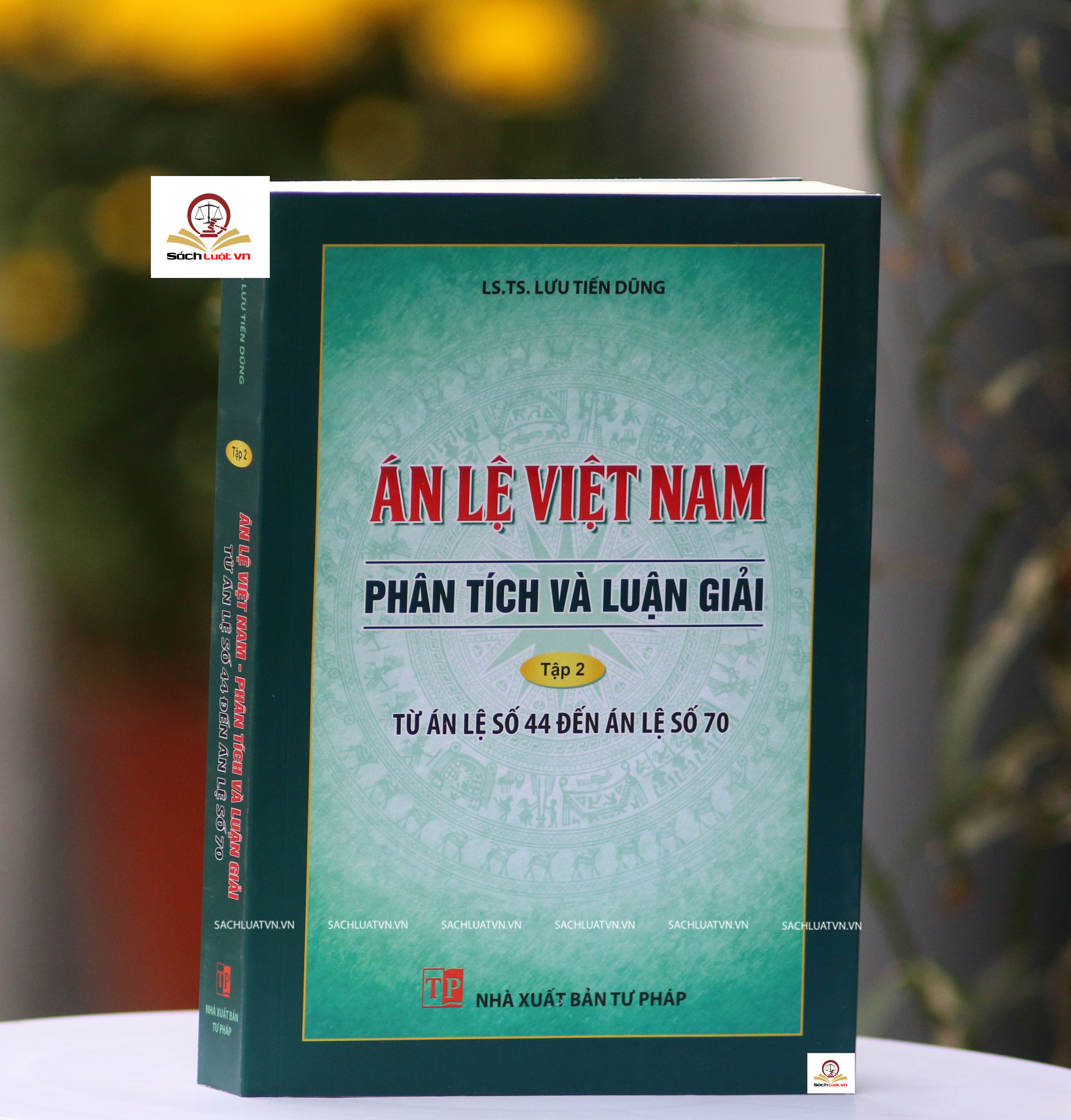 Án lệ Việt Nam - Phân tích và luận giải