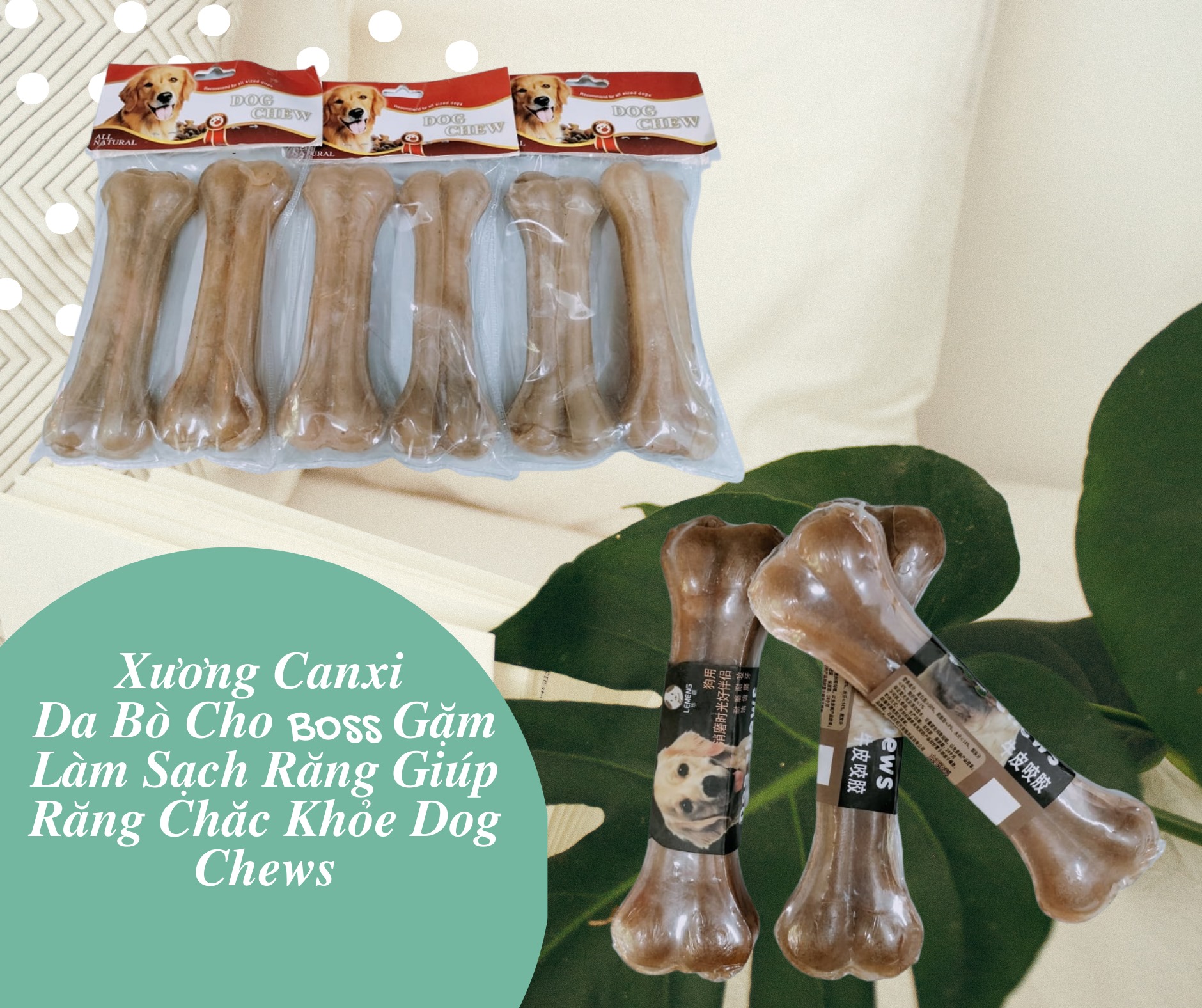 Xương da bò gặm sạch răng cho chó - Xương gặm cho chó