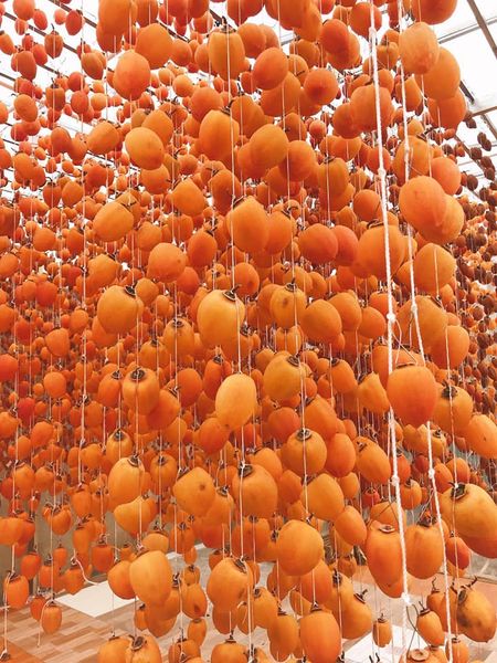 500G Hồng treo sấy gió- Đặc sản Đà Lạt (có hộp cho khách biếu tặng)