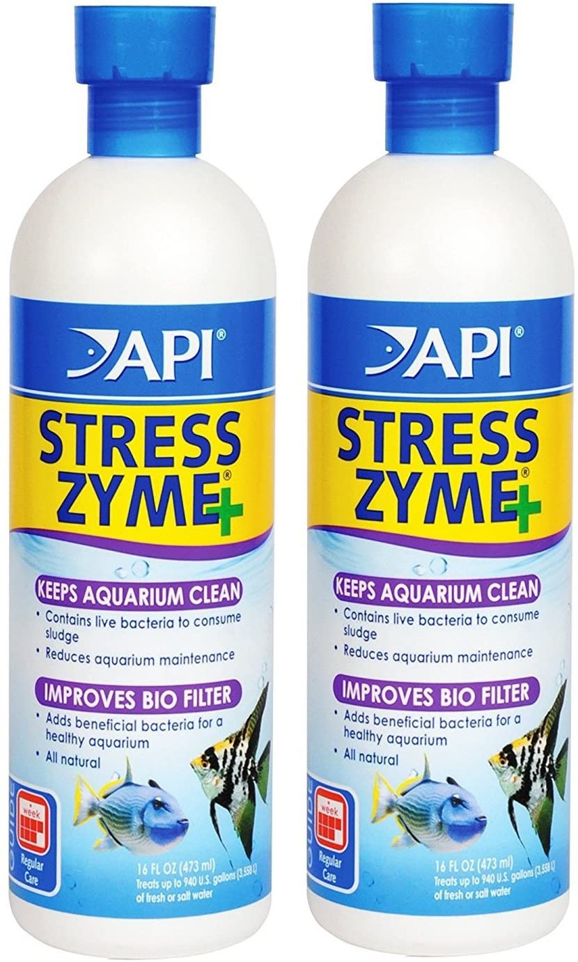 Vi sinh sống cao cấp api stress zyme+