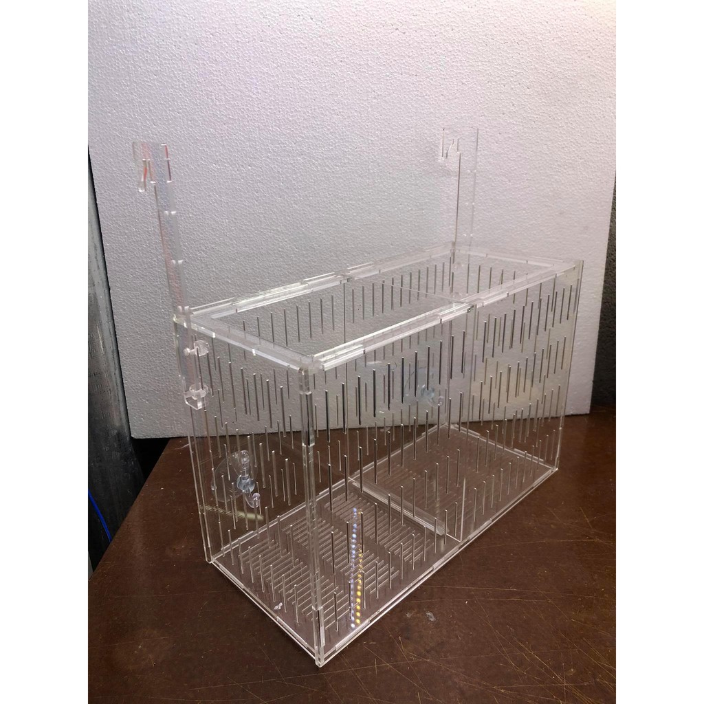 Box/ lồngdưỡng tách cá mica cao cấp (40x15x15)