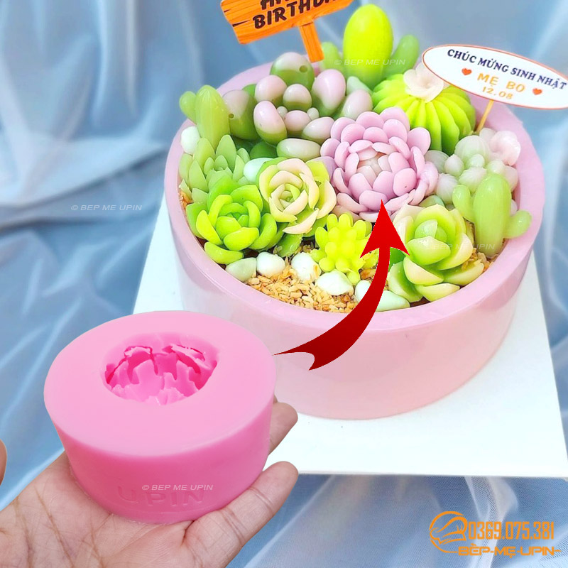 Khuôn silicon sen đá xương rồng mã SR306