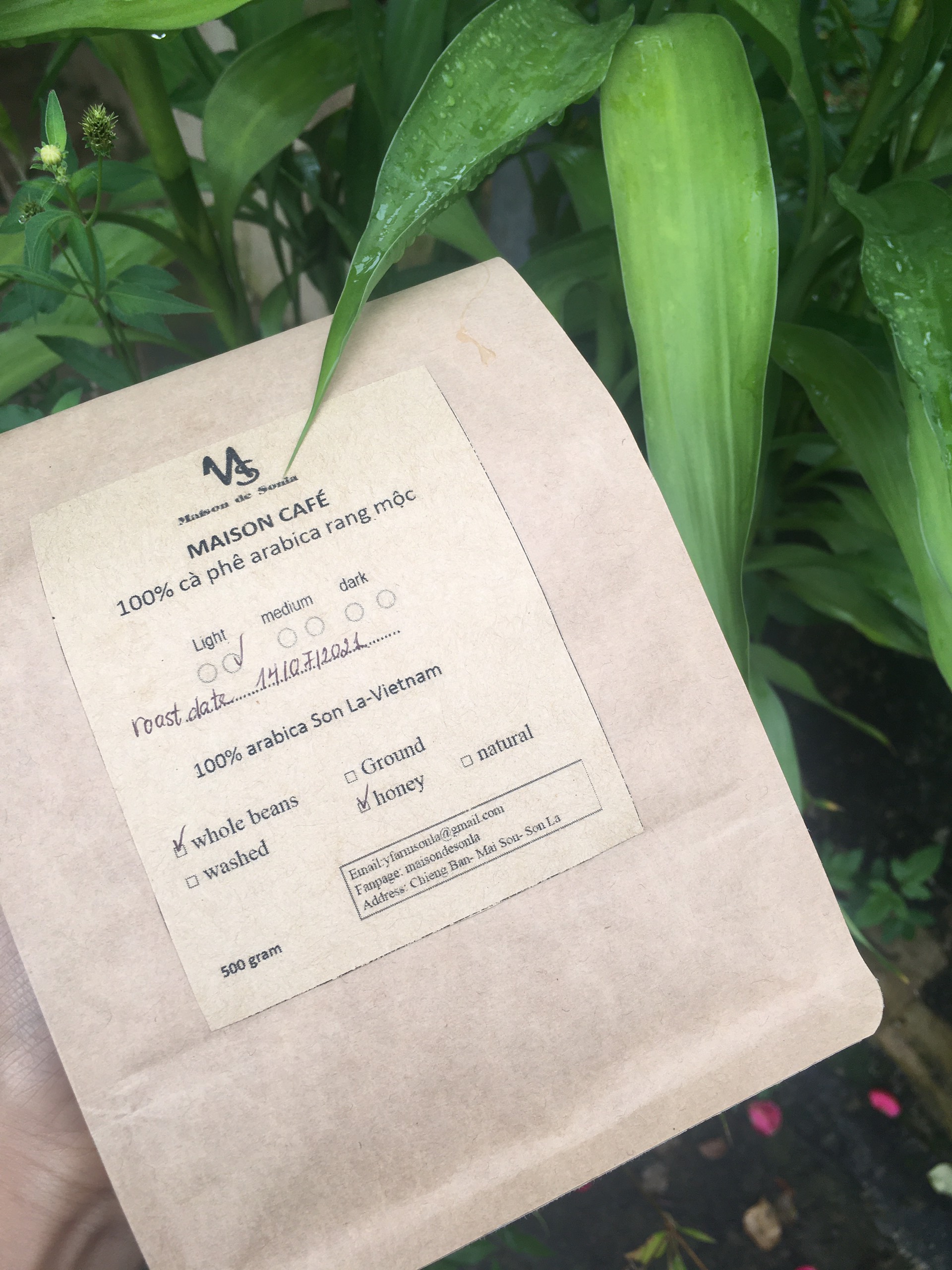 Cà phê arabica sơn la sơ chế honey từ 100% trái chín gói 250gram