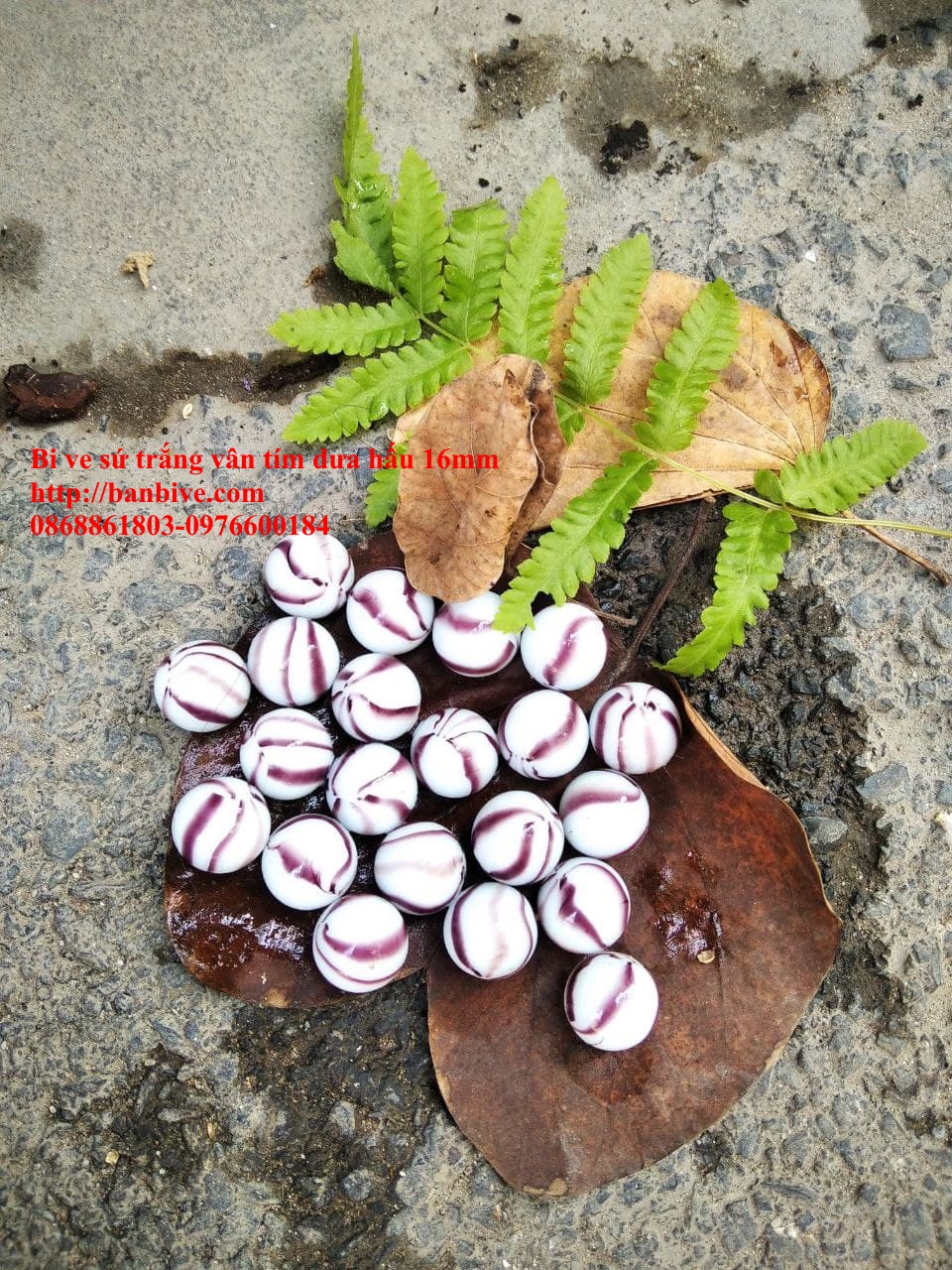 Bi ve - bộ viên bi sứ trắng vân tím dưa hấu đường kính 1.6 cm bộ 10 viên