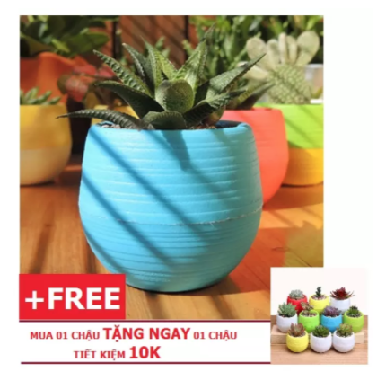 [HCM](MUA 1 TẶNG 1) Chậu trồng cây mini thông minh trang trí văn phòng nhà cửa nhiều màu sắc (Chậu không kèm cây) C2034