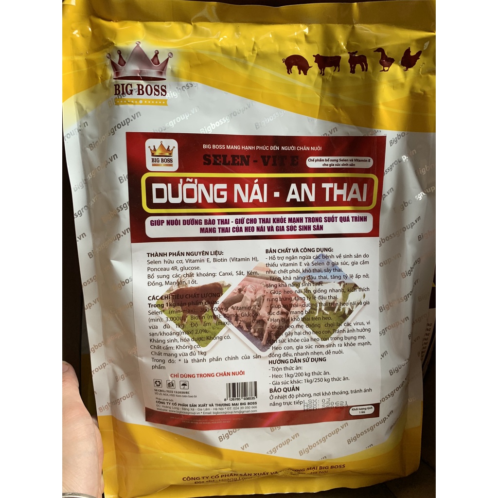 Dưỡng nái an thai, nuôi dưỡng bào thai, giữ cho thai khỏe mạnh trong quá trình mang thai