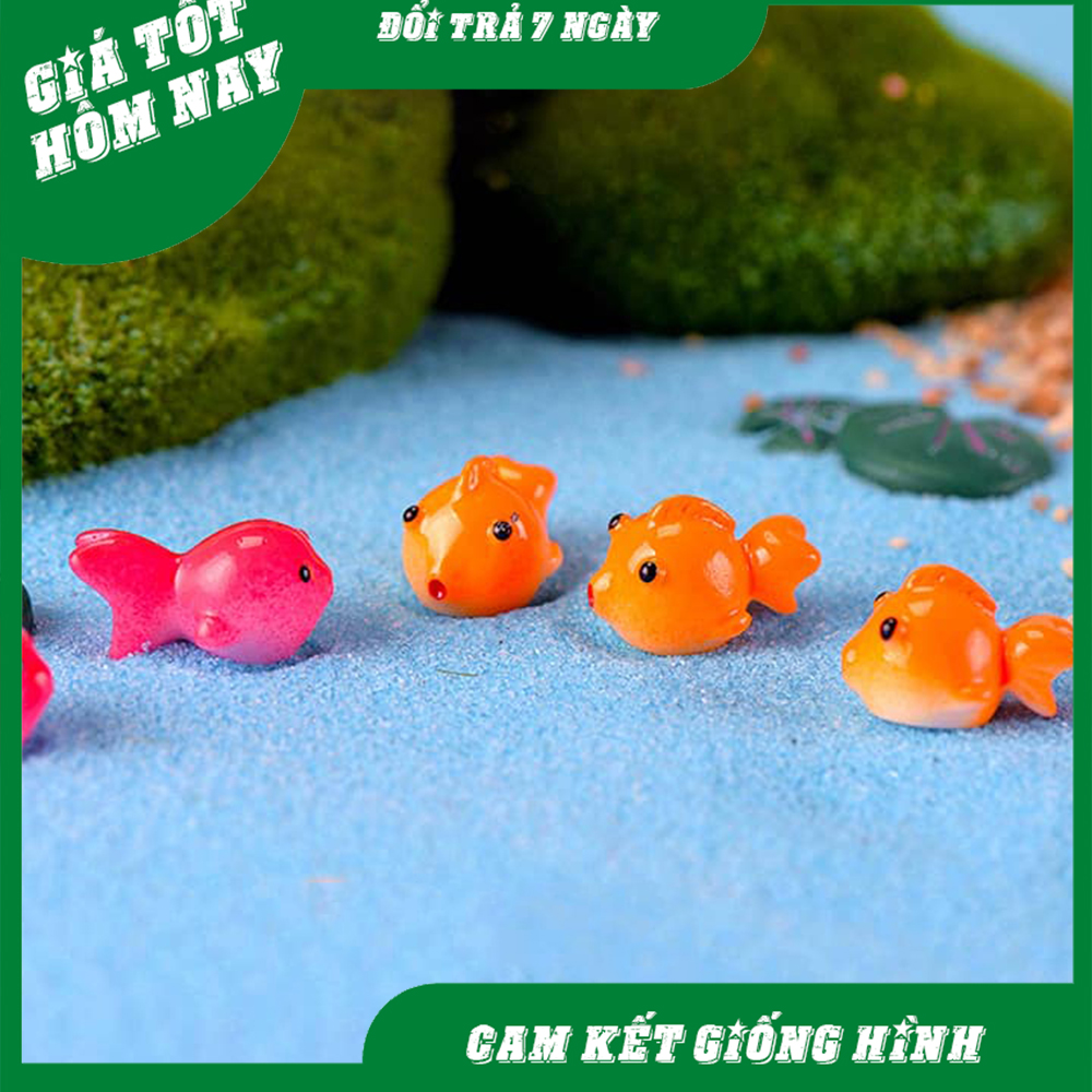 Phụ kiện tiểu cảnh cá biển đâị dương trang trí chậu cây hồ cá