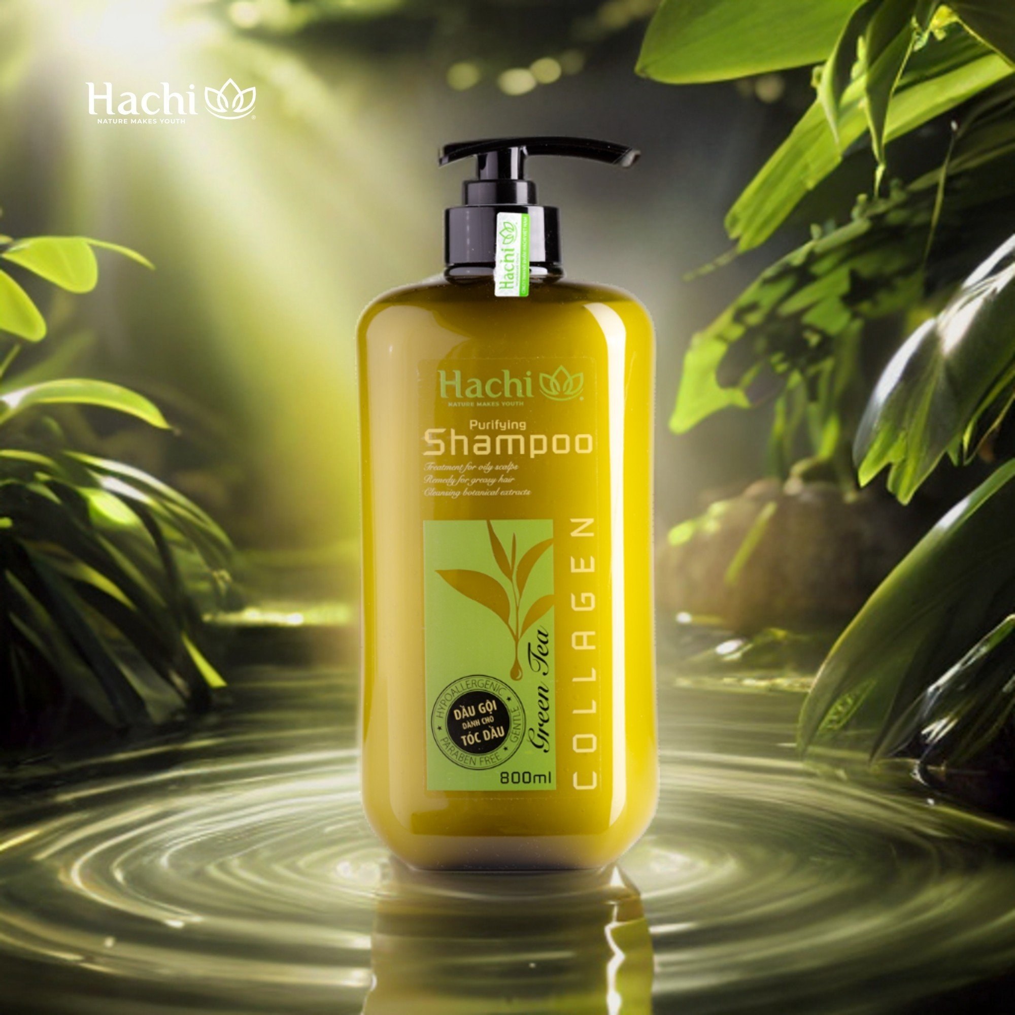 Dầu gội Trà Xanh Hachi Purifying cho tóc dầu bết
