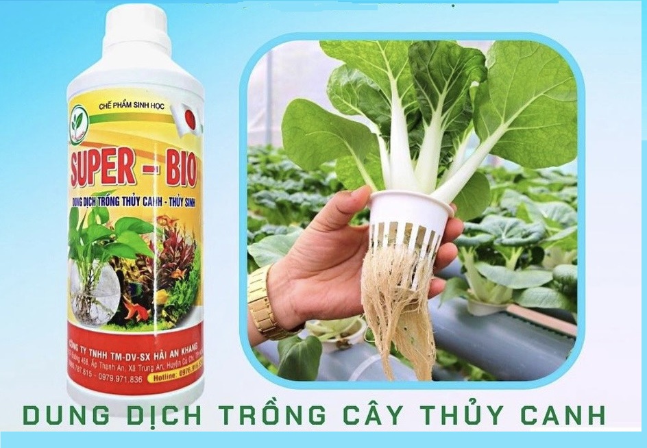 [FreeShip] Dung Dịch Thủy Canh Trồng Rau - Bể Thủy Sinh Super Bio - chai 1LIT