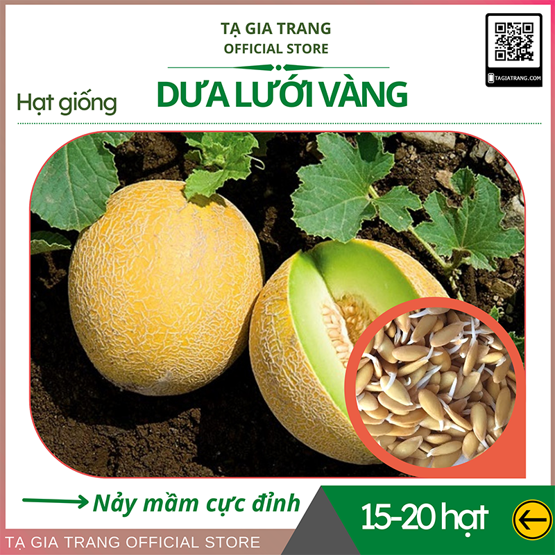 Hạt giống dưa lưới vàng