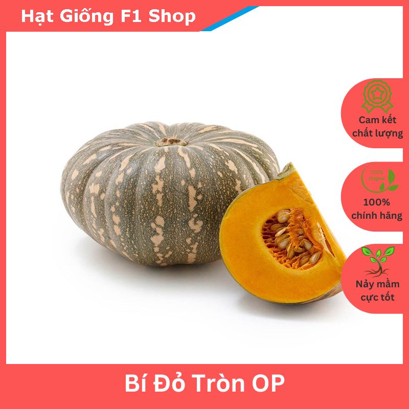 Hạt giống bí đỏ tròn op xuất xứ ấn độ