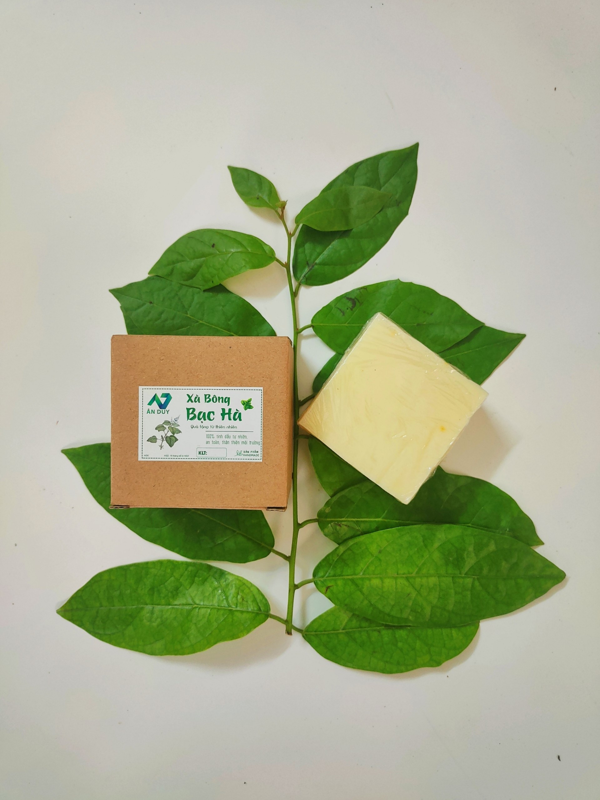 Xà bông hương bạc hà 100g