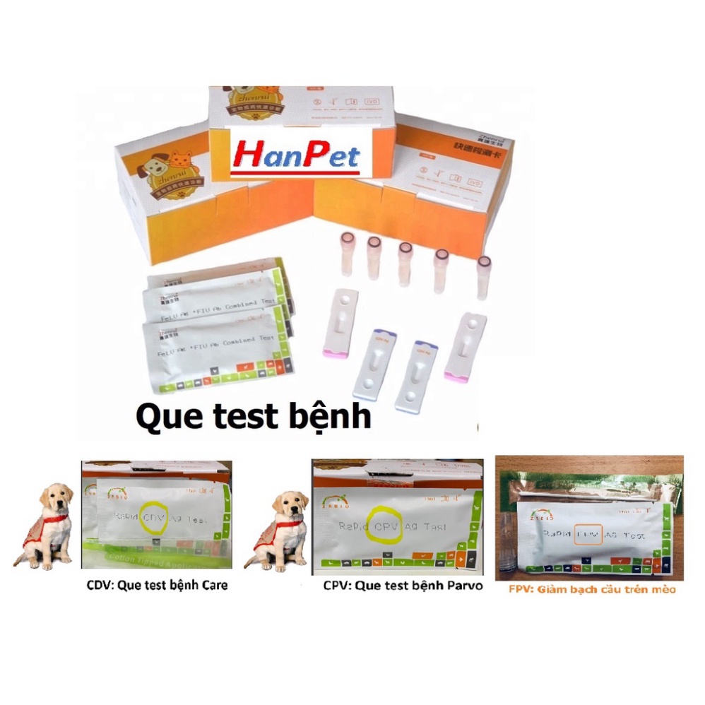 Que test bệnh chó dụng cụ xét nghiệm bệnh thú cưng Parvo CPV Care CDV FPV cho mèo