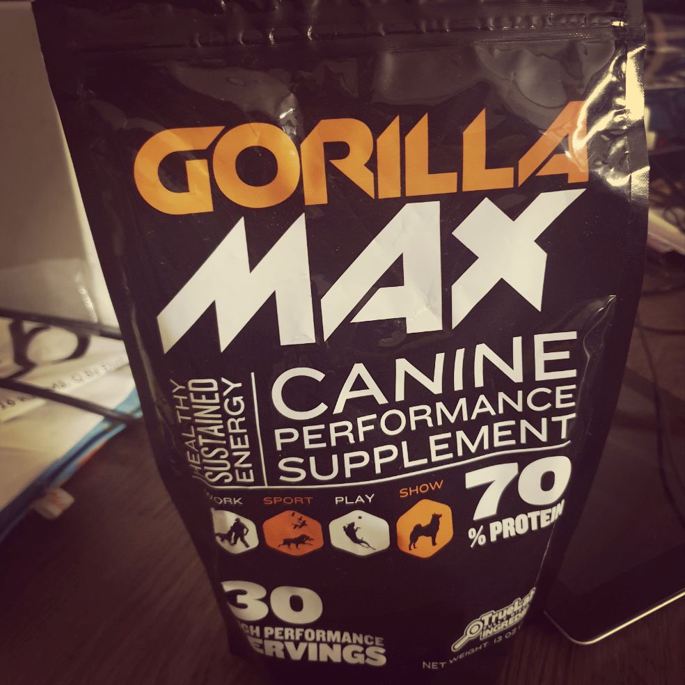🐶 Gorrila Max - Cực phẩm không thể thiếu dành cho Bully nhà bạn