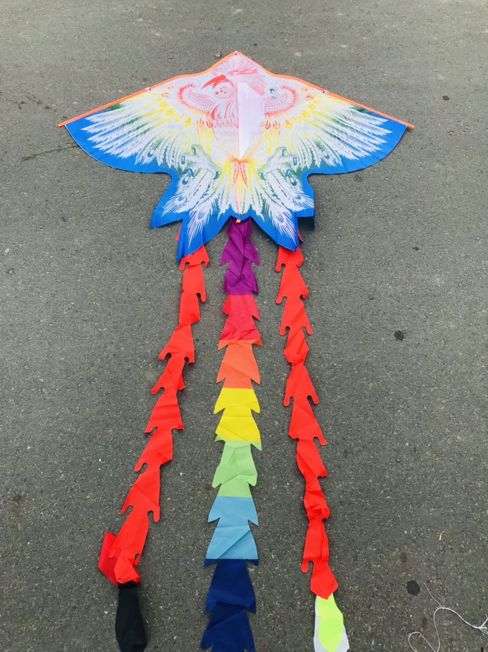 [HCM][COMBO 1 TẶNG 1]DIỀU PHỤNG CẦU VỒNG + TẶNG KÈM TAY CẦM THẢ DIỀU 150 MÉT DÂY (SHOP DIỀU GIÁ RẺ)