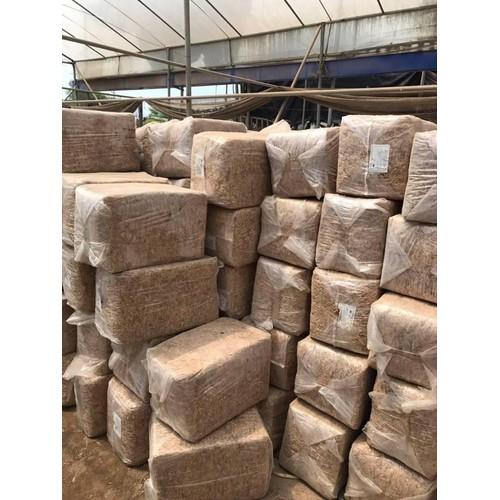 Gói 1kg Rêu con sâu Chile, Giá thể giữ ẩm tuyệt vời cho phong lan, hay còn gọi là rêu sâu