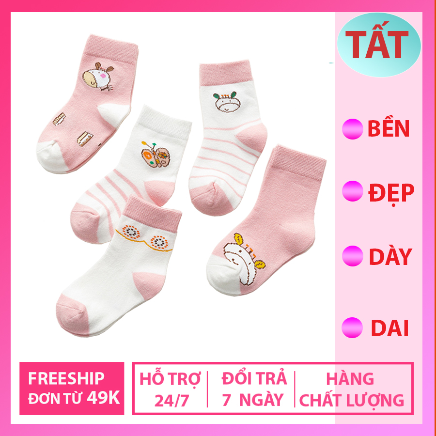 Combo 5 Đôi Vớ tất cho bé trai và bé gái chất liệu cotton loại đẹp co giãn tốt, T01, So So Nice