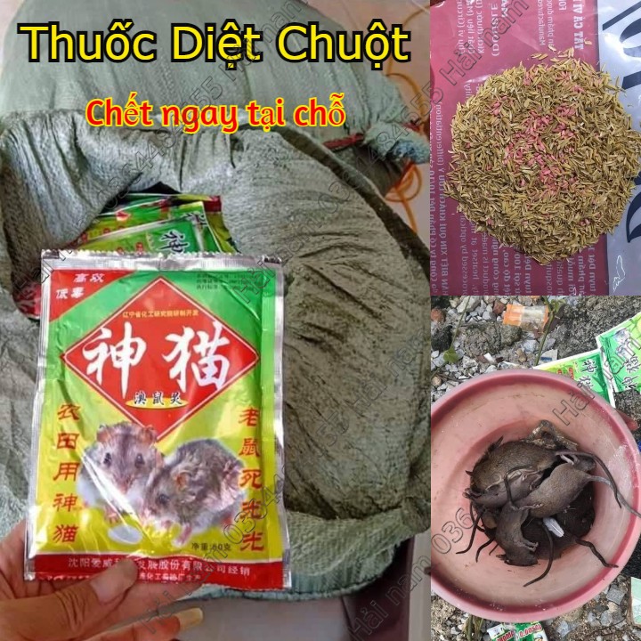 Thuốc diệt chuột trộn sẵn ăn chết ngay tại chỗ , Hiệu quả 100 % khi sử dụng