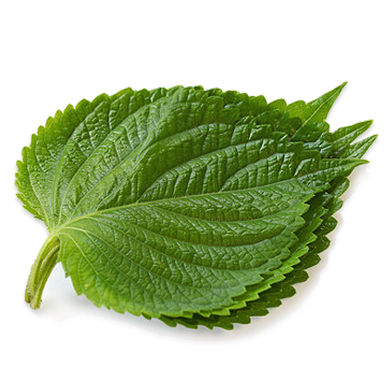 Lá vừng Hàn Quốc 1 túi 15 lá -  [Giao ngay tại HCM], sản phẩm đa dạng và cam kết hàng giống như hình ảnh