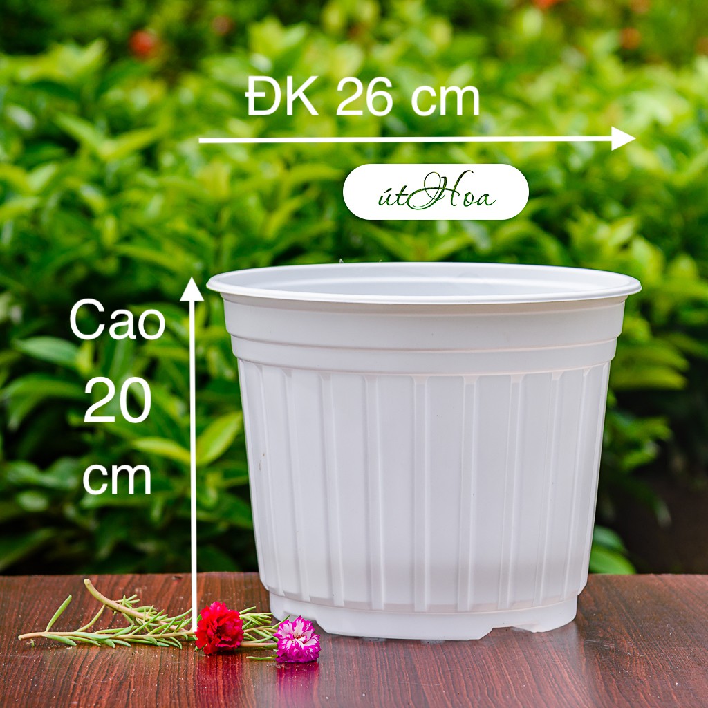 Chậu Nhựa Trắng T26 (26X20 Cm) Trồng Cây, Trồng Hoa Nhựa Cao Cấp