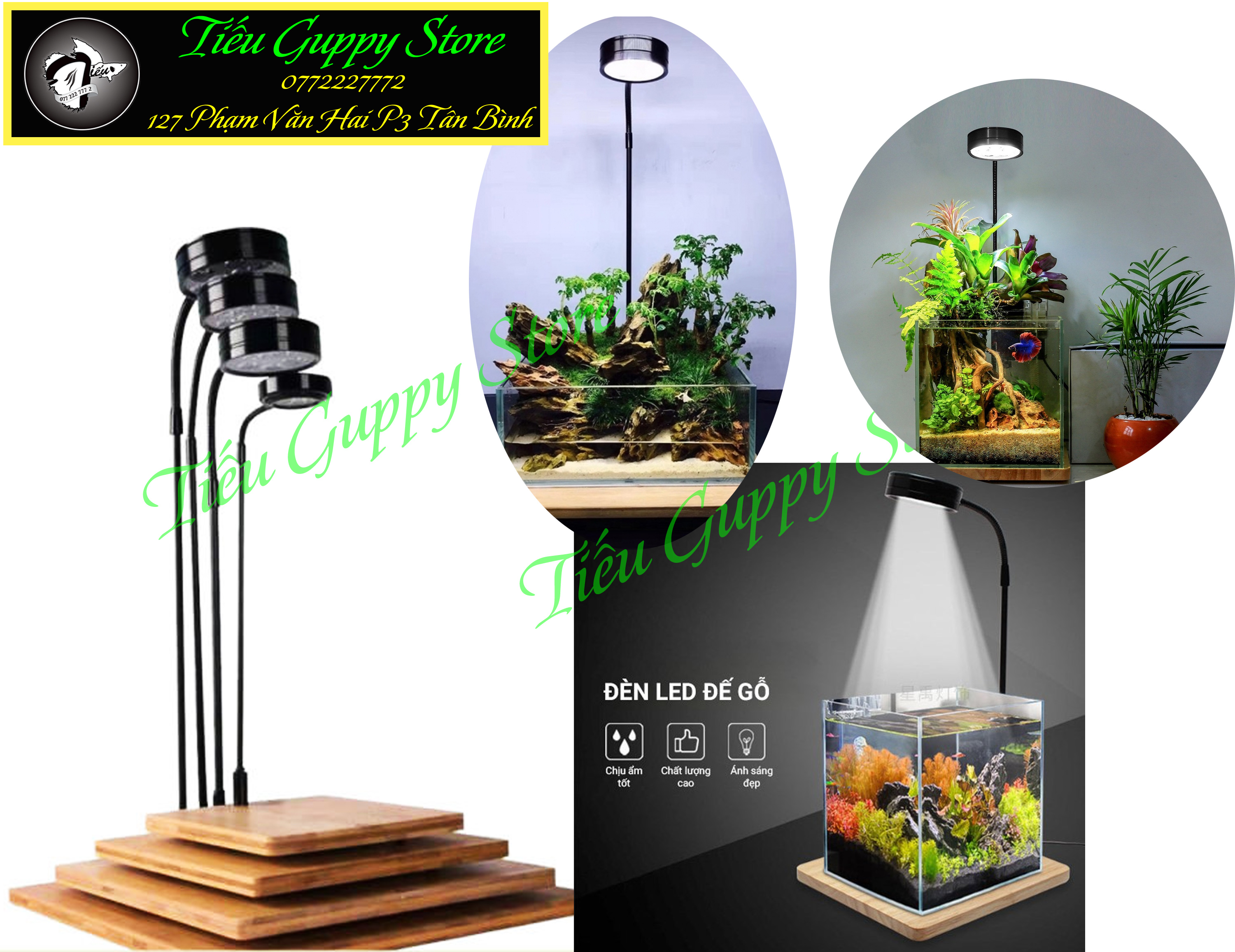 Đèn Đế Gỗ - Đèn Led kèm Đế Gỗ Ánh Sáng Trắng vàng chuyên dụng cho hồ thủy sinh, hồ bán cạn, bể cá tròn...