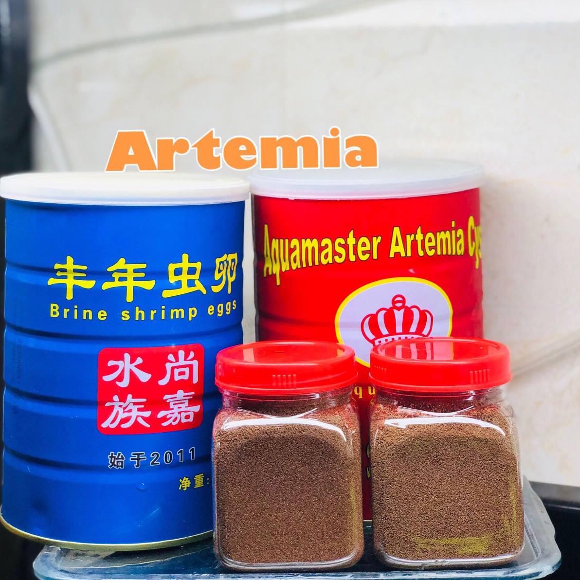 Atermia ( Ấu Trùng Tôm)