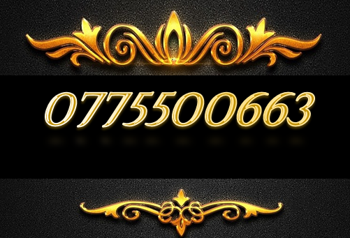 Sim 4 bánh phong thủy 0775500663