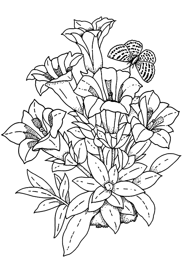 tranh tô màu các loài hoa - Bài giảng khác - Phạm Quốc Toàn - Thư viện Bài  giảng điện tử