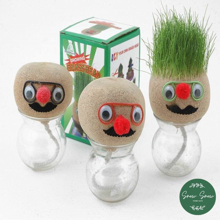 Cỏ Búp Bê - Đầu cỏ mini nhiều mẫu dễ trồng thân thiện môi trường, giúp giảm stress, trang trí phòng bàn làm việc