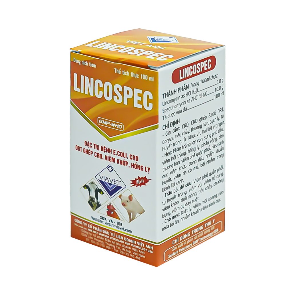 LINCOSPEC -- ĐẶC TRỊ BỆNH DO E.COLI, CRD, ORT GHÉP CRD, VIÊM KHỚP, HỒNG LỴ - TRÂU, BÒ, DÊ, GÀ - THUỐC THÚ Y