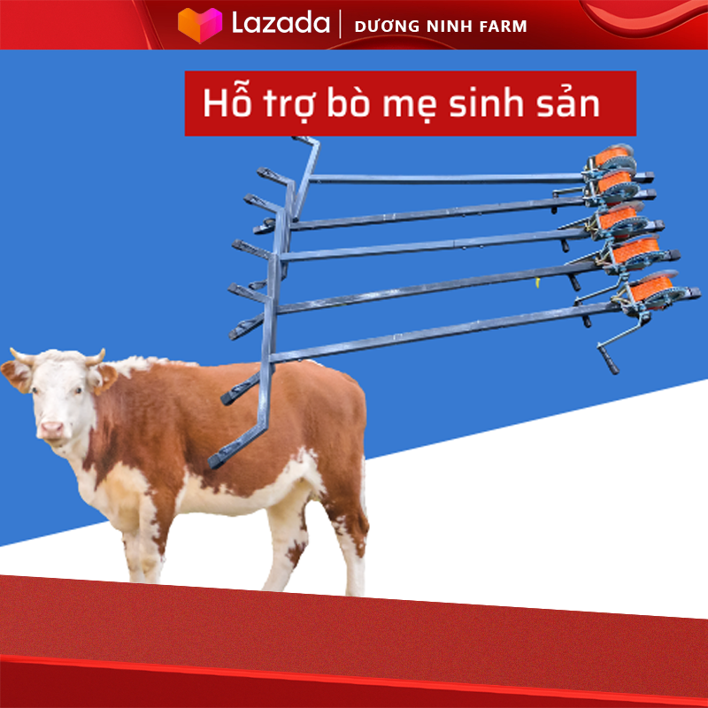 gậy đỡ đẻ cho Bò - Dài 1.75m