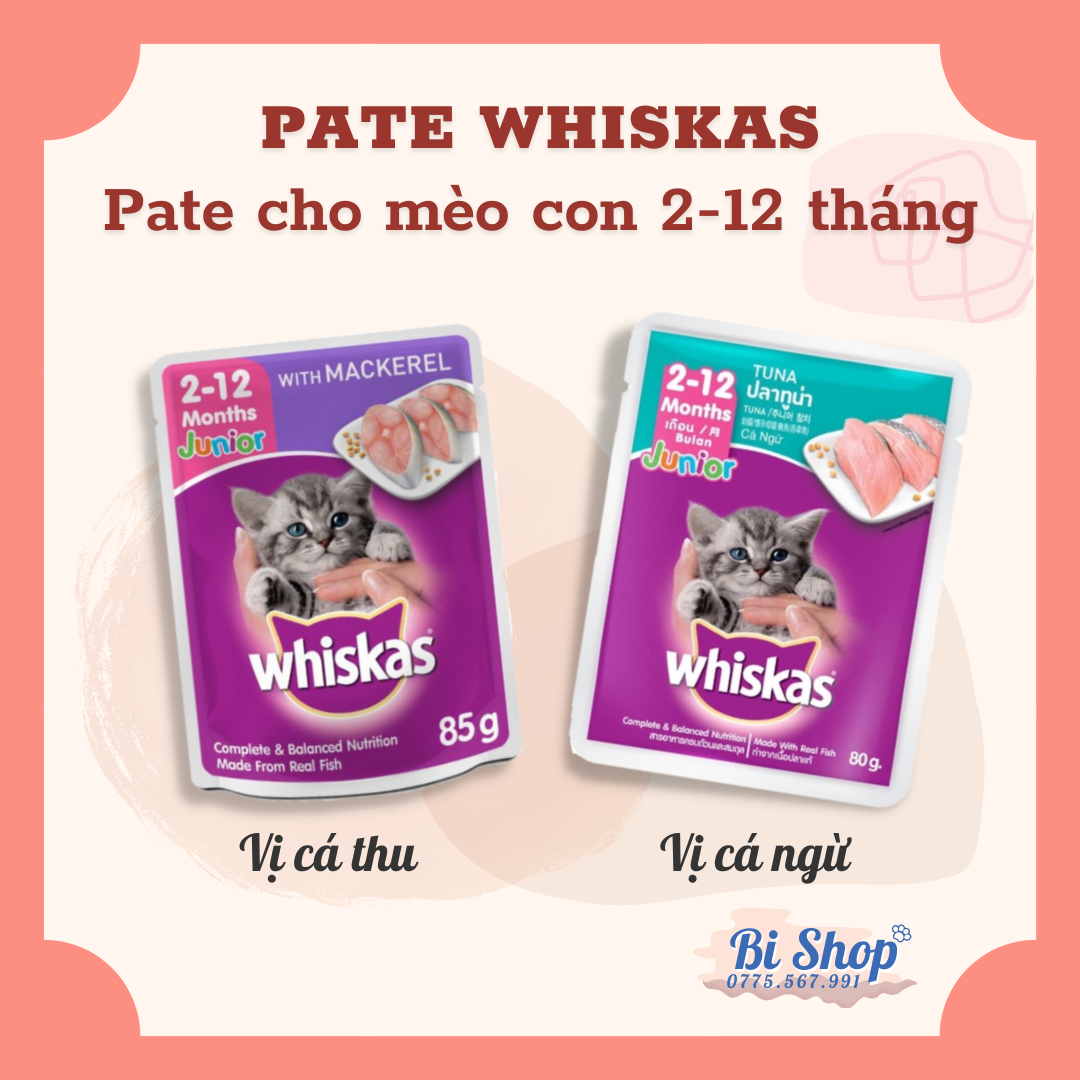 Thức ăn cho mèo con - pate whiskas junior 80g