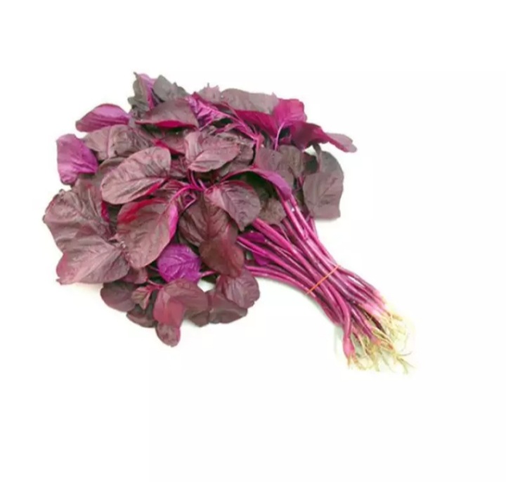 Hạt giống rau dền đỏ 20gram