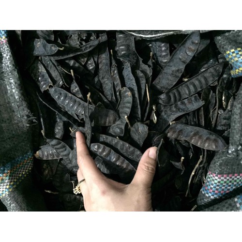 Trái bồ kết khô (1kg)