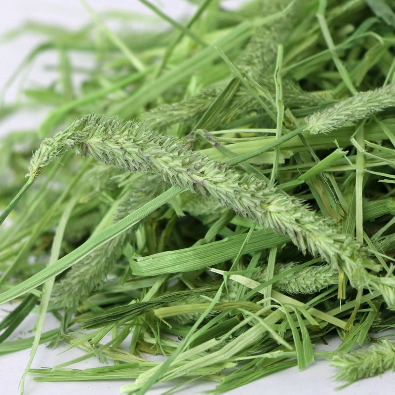 Túi 500 gr cỏ timothy cho thỏ , bọ ú , chuột lang ...