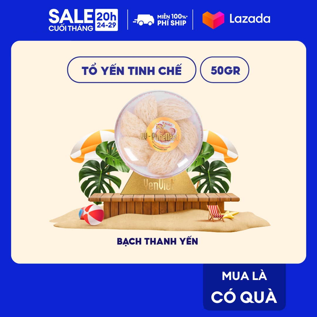 Yến việt - tổ yến tinh chế thượng hạng, yến sào thiên nhiên, sạch 99%, tỷ lệ sợi 65%, hộp 30g/ 50g/ 100g - bạch thanh yến