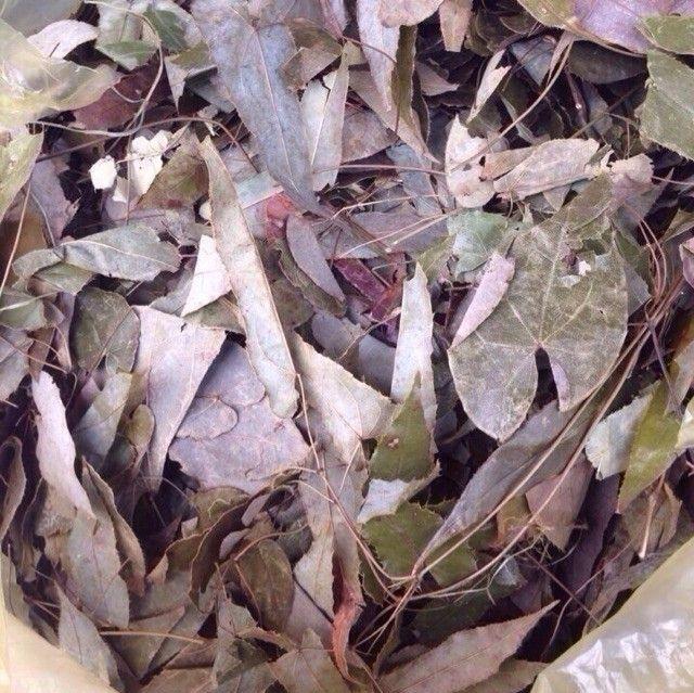 Dâm dương hoắc 500gr