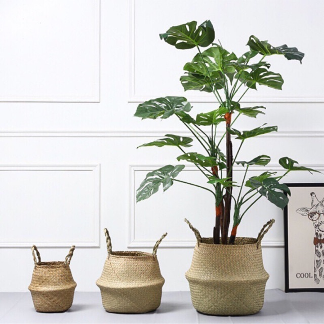 Sọt cói trồng cây , giỏ cói đựng đồ và trang trí