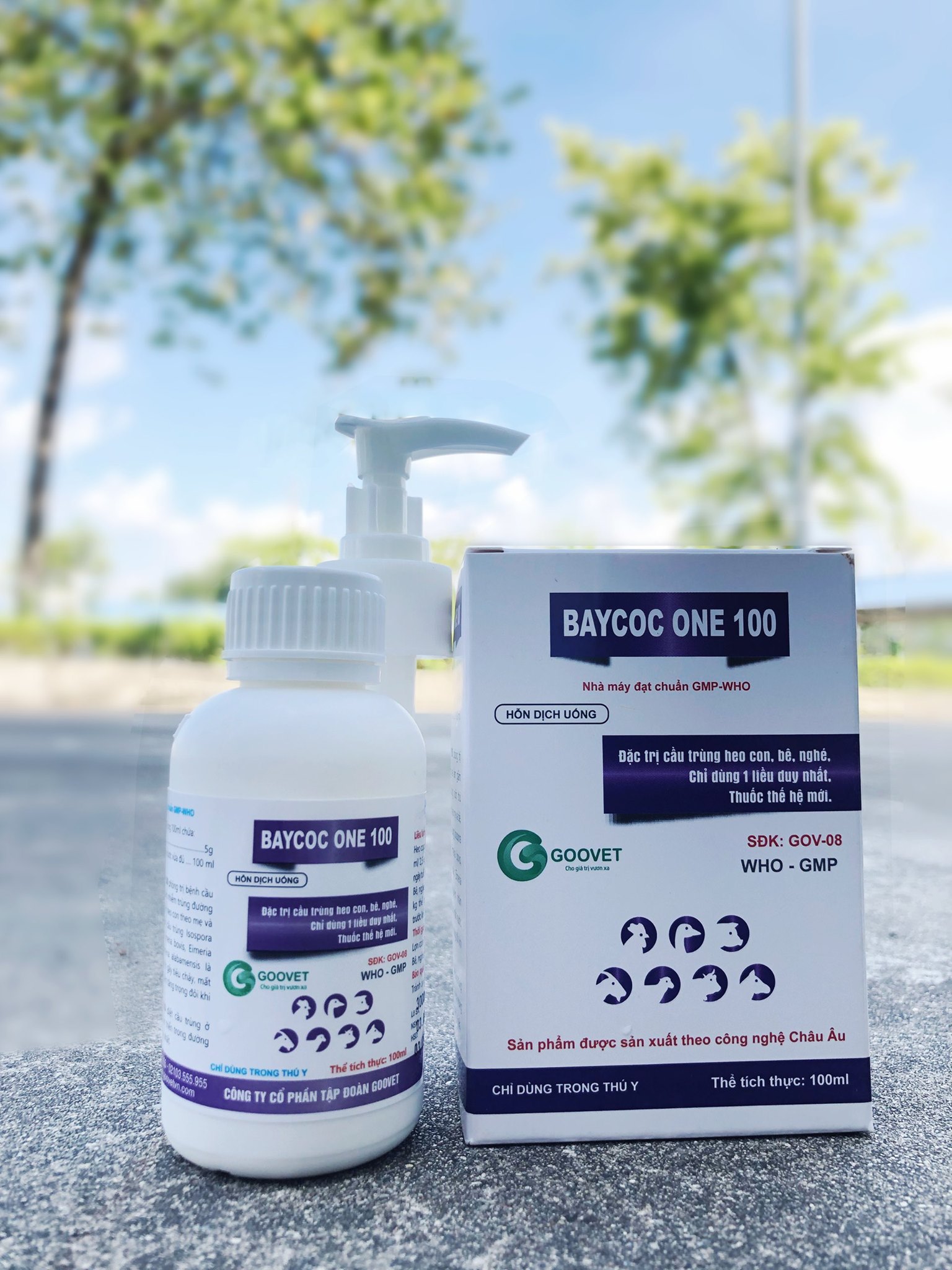 Baycoc one 100 10ml- Đặc trị cầu trùng