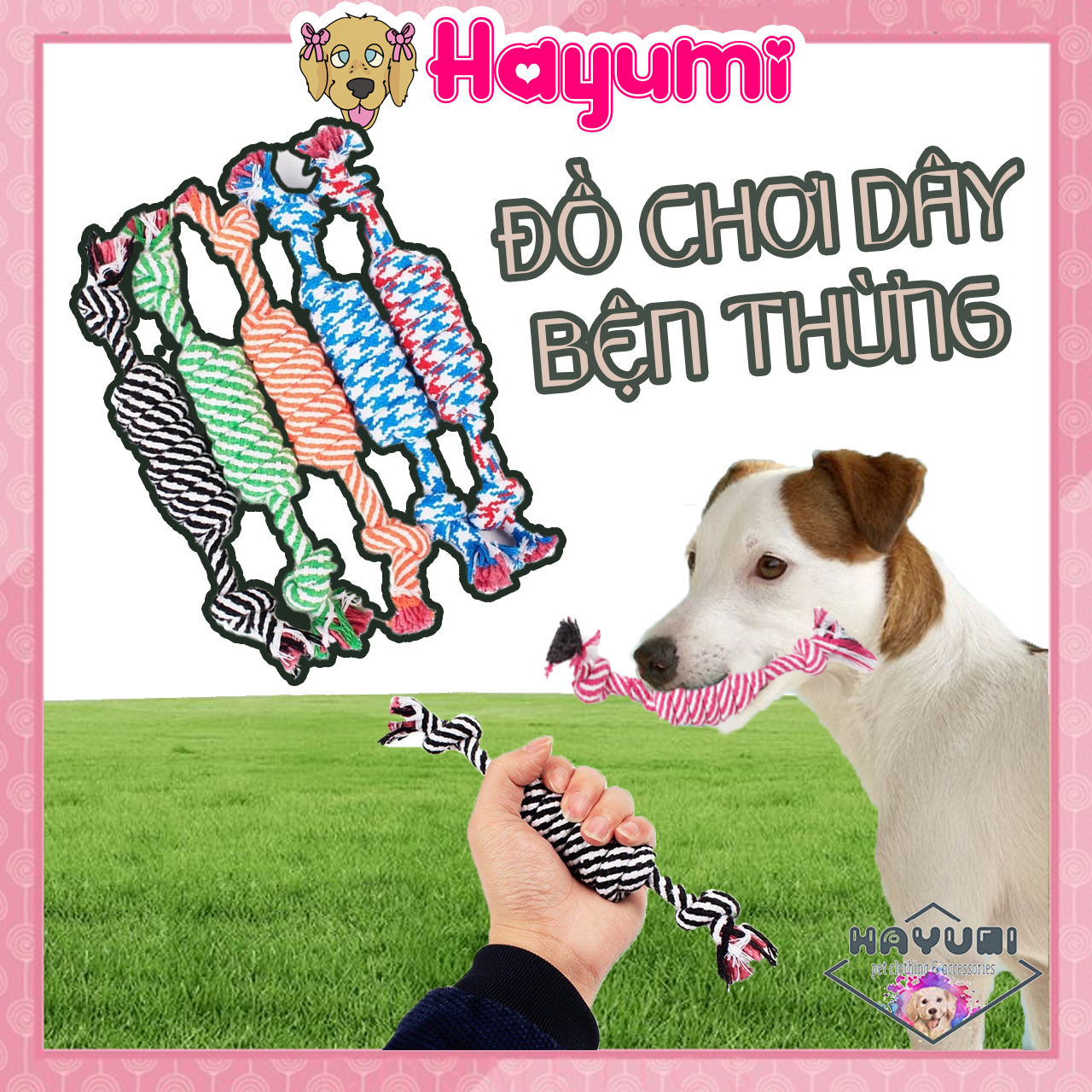 Dây bện thừng đồ chơi - chống cắn phá đồ đạc