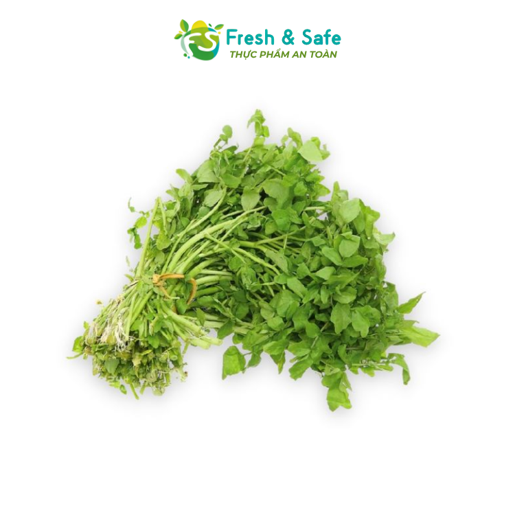 [HOẢ TỐC HCM] Xà lách xoong - 300g
