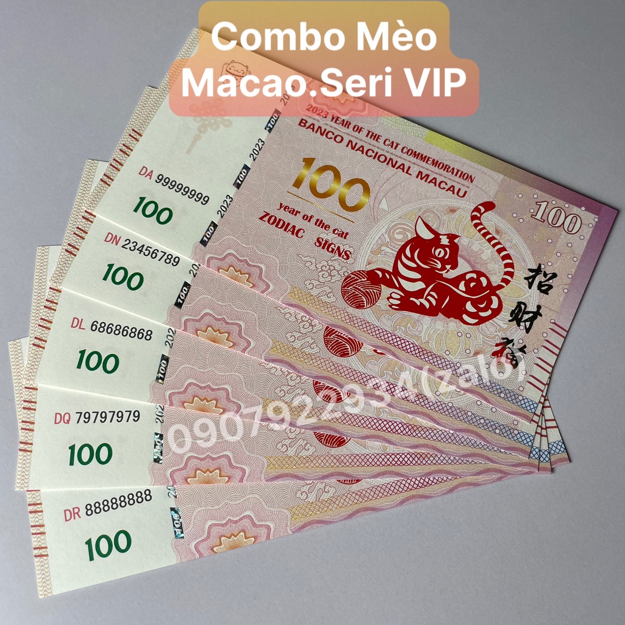 Combo mèo kỷ niệm macao 100 patacas lì xì tết quý mão 2023
