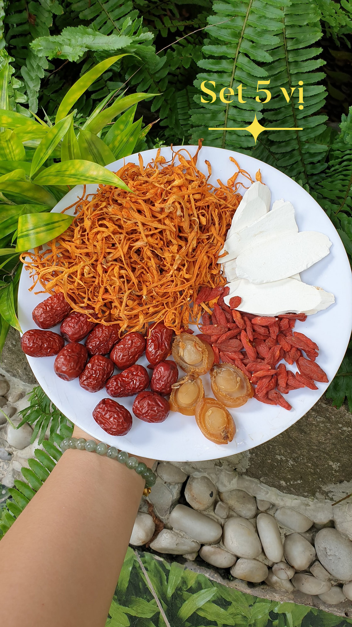 [HCM]set canh bào ngư 5 vị ( có bào ngư thật)