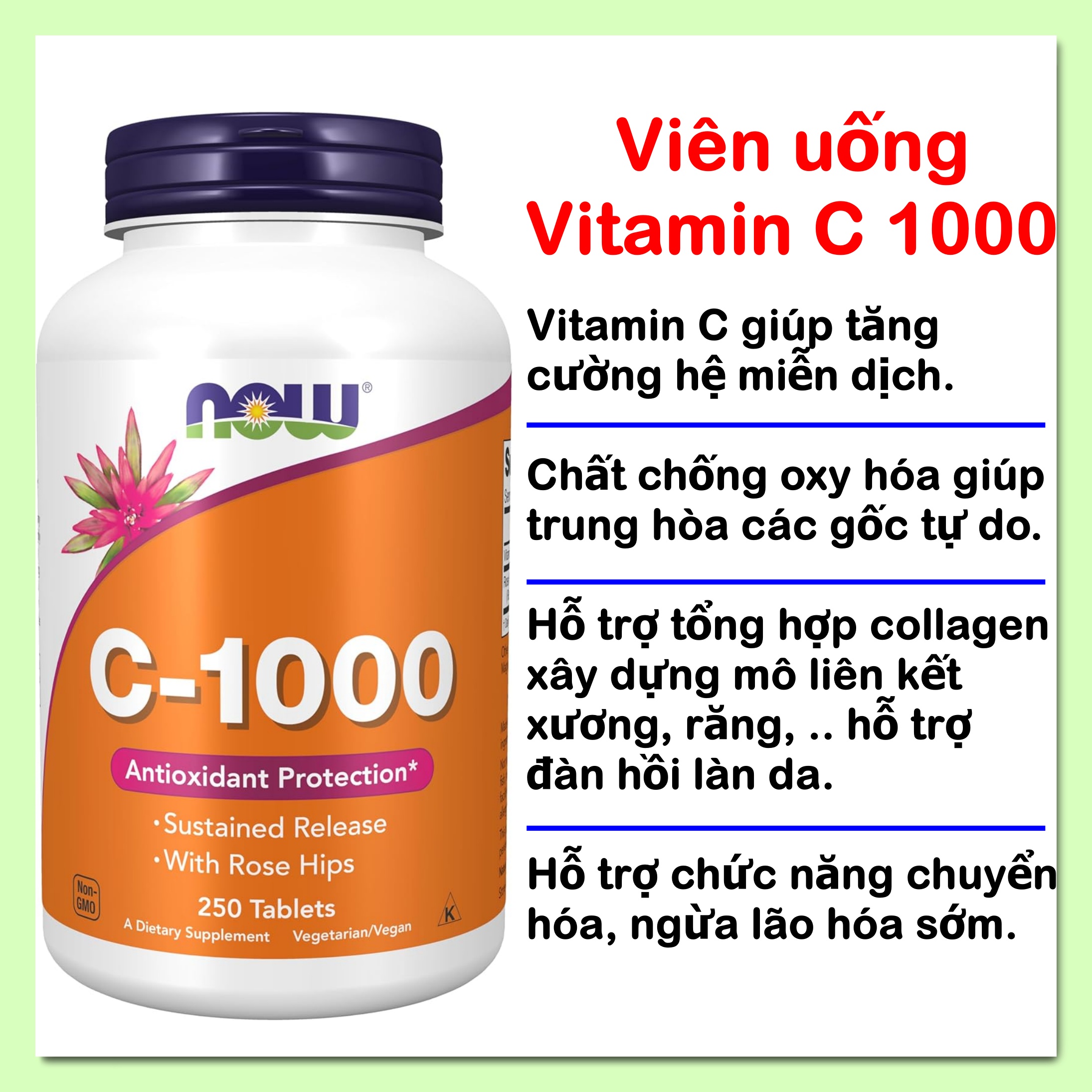  Viên uống Vitamin C 1000 thuần chay Now Foods  Hàng Mỹ  