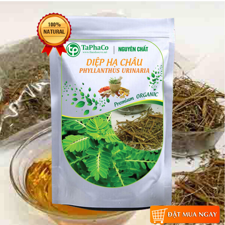Trà diệp hạ châu 500g - tấn phát