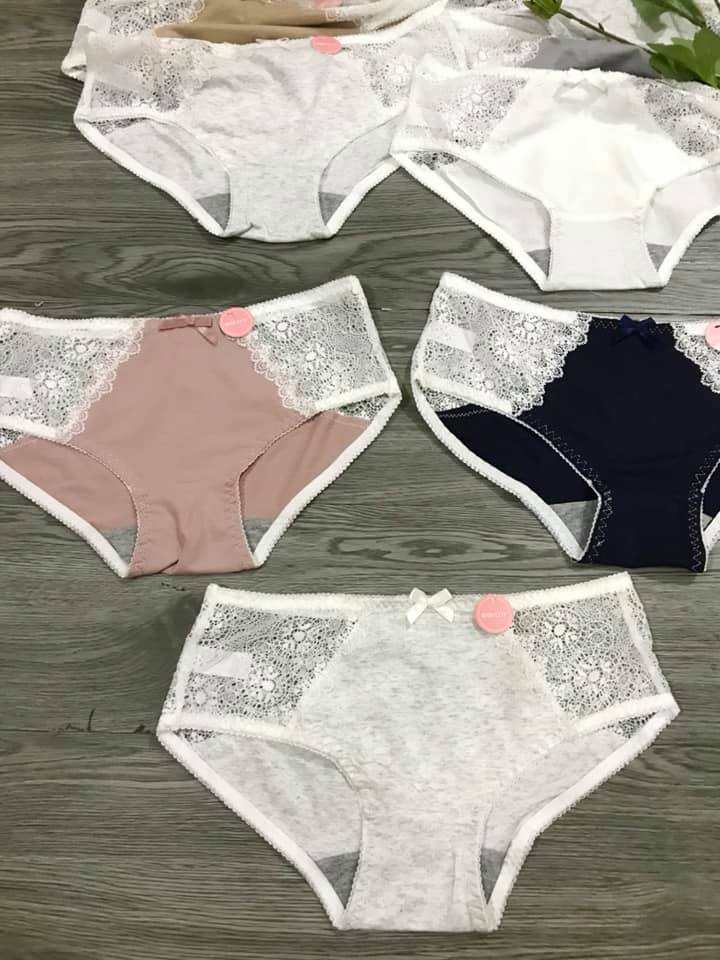 Quần chíp coton -quần lót cotton phối ren co dãn 4 chiều kháng khuẩn