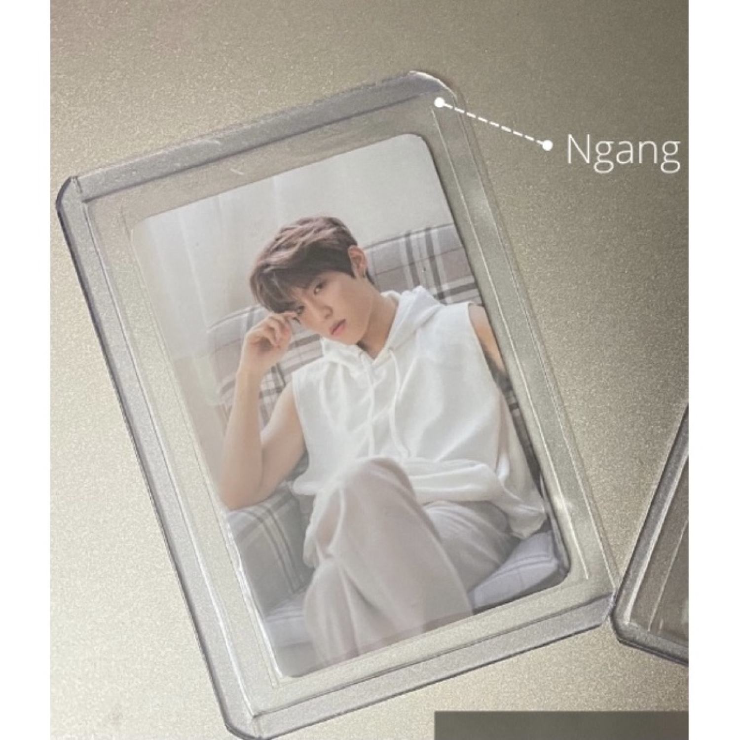 Bọc đựng ảnh, thẻ - Top loader B8 ngang