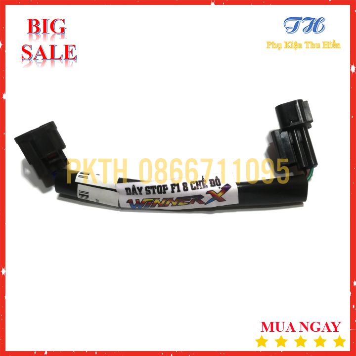 [HCM]Mạch Chớp F1 Cho Xe Winner X