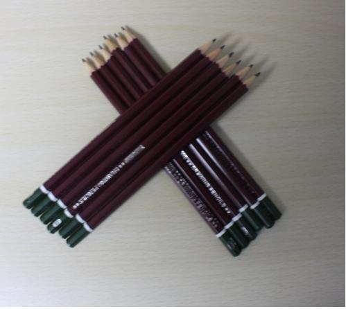 Bút chì gỗ 3B Tatomo hộp 12 cây